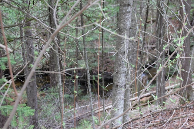 Hall Rd, Atlanta, MI 49709 - photo 42