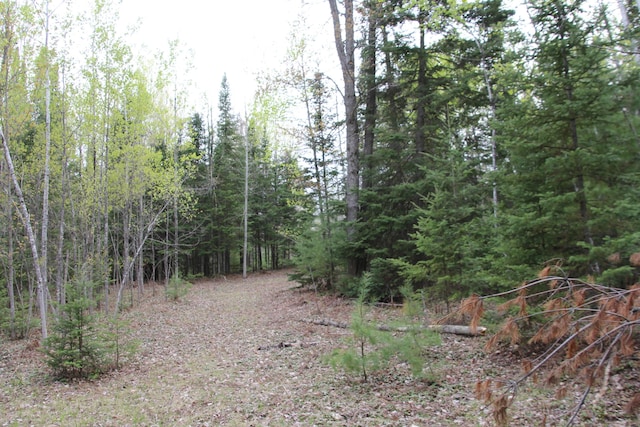 Hall Rd, Atlanta, MI 49709 - photo 43