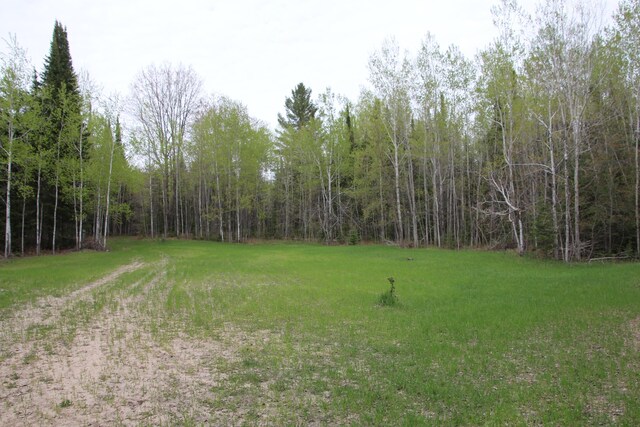 Hall Rd, Atlanta, MI 49709 - photo 45