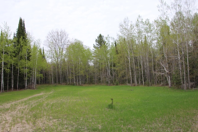 Hall Rd, Atlanta, MI 49709 - photo 46