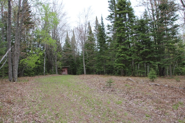 Hall Rd, Atlanta, MI 49709 - photo 48