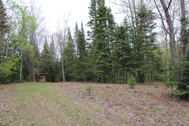 Hall Rd, Atlanta, MI 49709 - photo 49