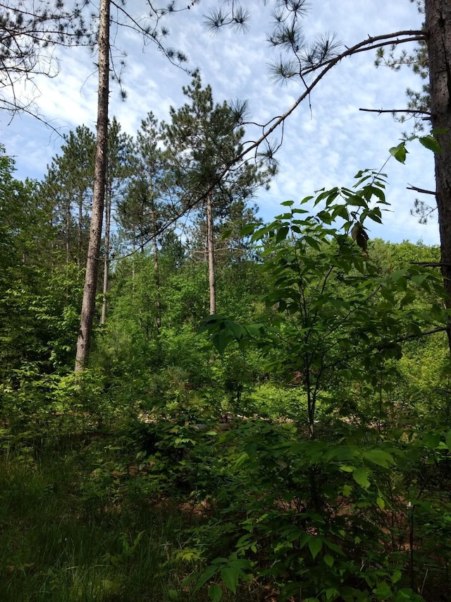 Hall Rd, Atlanta, MI 49709 - photo 53