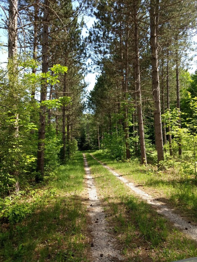 Hall Rd, Atlanta, MI 49709 - photo 54