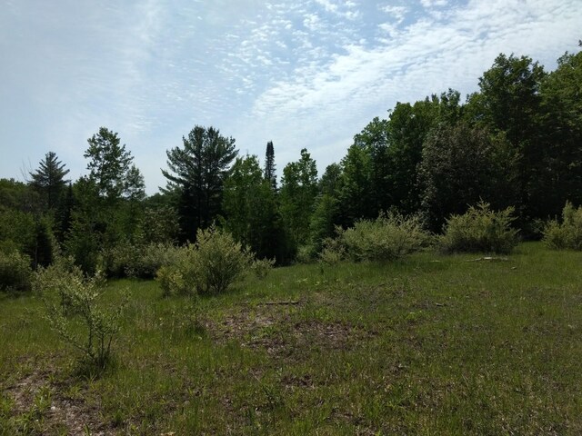 Hall Rd, Atlanta, MI 49709 - photo 59