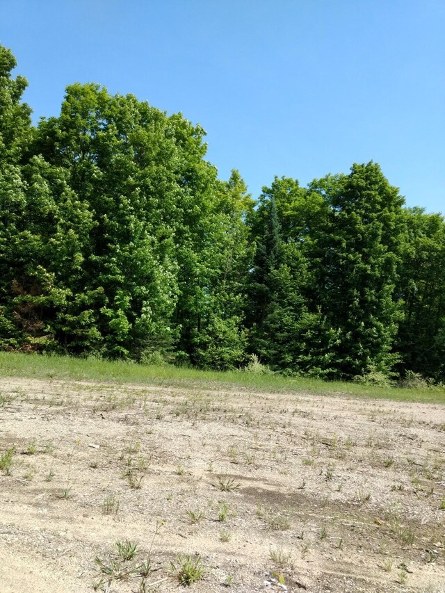 Hall Rd, Atlanta, MI 49709 - photo 62
