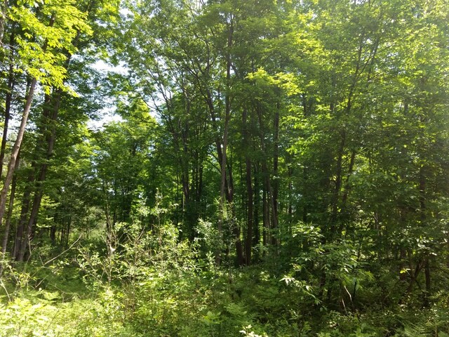 Hall Rd, Atlanta, MI 49709 - photo 63