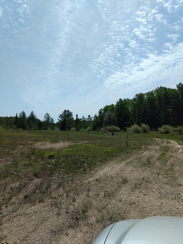 Hall Rd, Atlanta, MI 49709 - photo 65