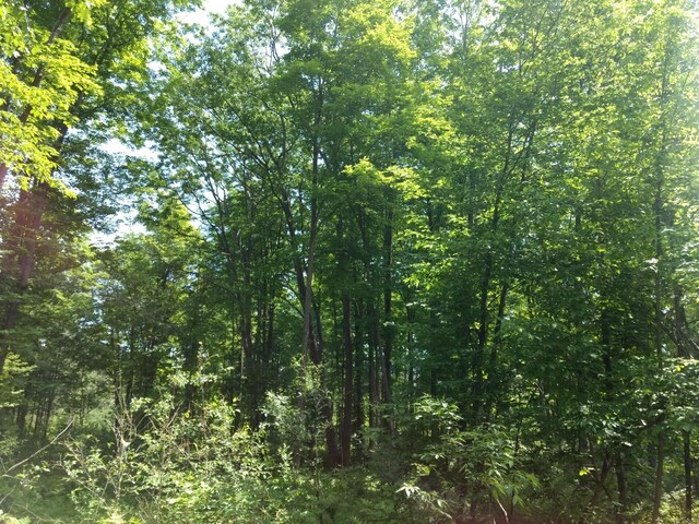Hall Rd, Atlanta, MI 49709 - photo 66