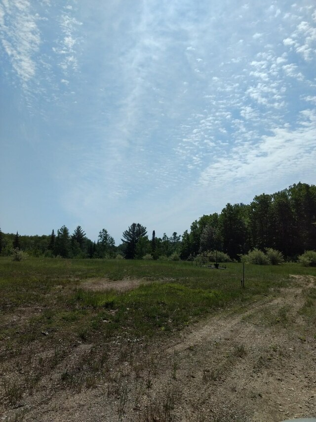 Hall Rd, Atlanta, MI 49709 - photo 67