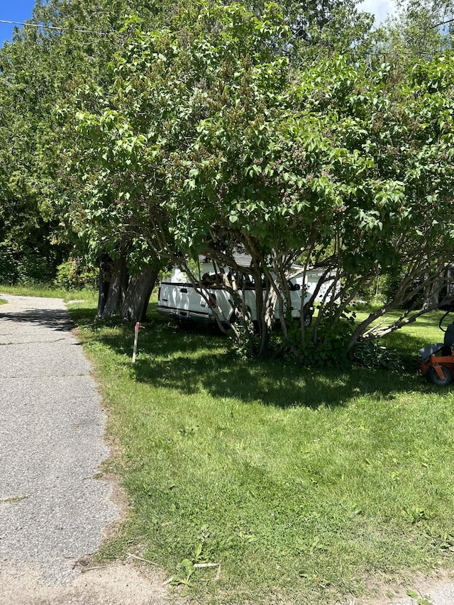 view of front of property featuring a front yard