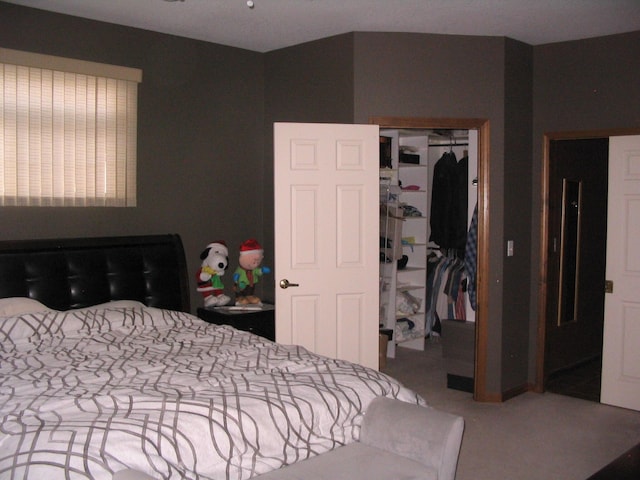 carpeted bedroom featuring a closet and a walk in closet