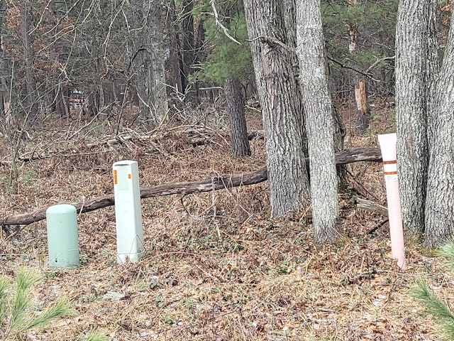 LOT8 Norseman Dr, Grayling, MI 49738 - photo 9