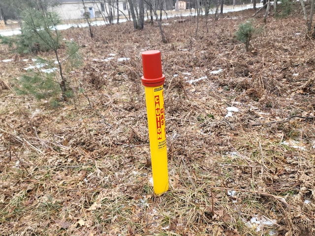 LOT8 Norseman Dr, Grayling, MI 49738 - photo 8