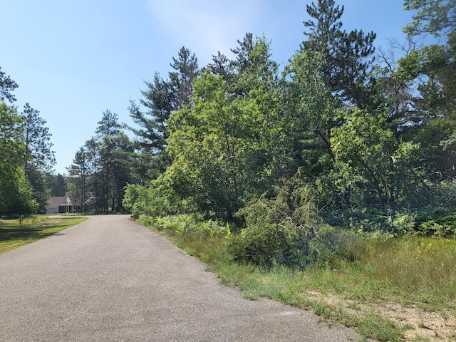 LOT8 Norseman Dr, Grayling, MI 49738 - photo 2