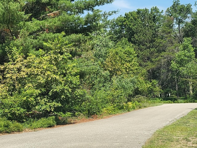 LOT8 Norseman Dr, Grayling, MI 49738 - photo 3