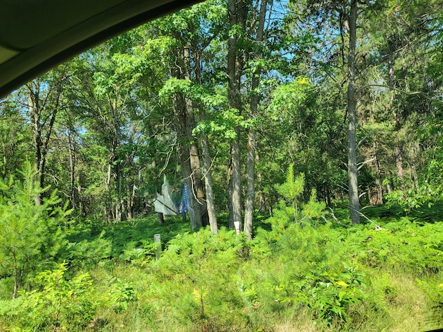 LOT8 Norseman Dr, Grayling, MI 49738 - photo 6