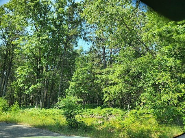 LOT8 Norseman Dr, Grayling, MI 49738 - photo 7