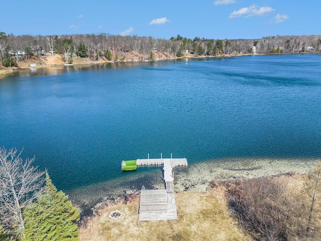 water view featuring a boat dock