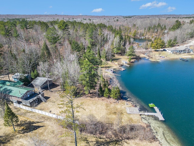 bird's eye view featuring a forest view and a water view