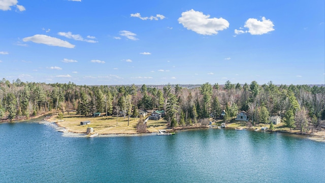 water view featuring a forest view