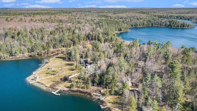 birds eye view of property featuring a view of trees and a water view