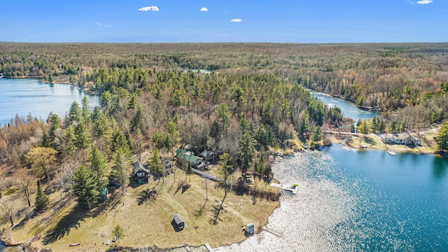 bird's eye view featuring a forest view and a water view