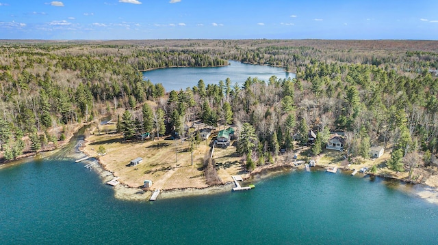 birds eye view of property with a forest view and a water view