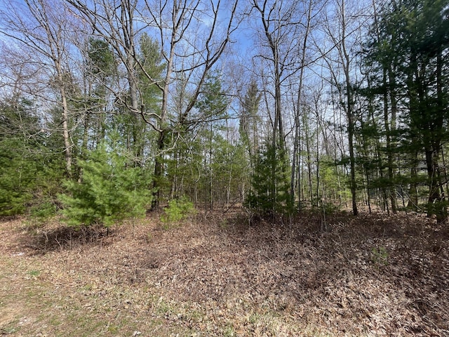 Listing photo 3 for LOT1 Hidden Hills Rd, Houghton Lake MI 48629