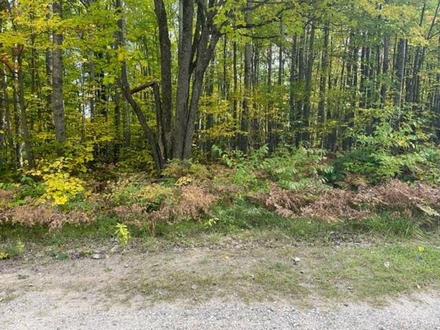 Listing photo 3 for LOT10 Fairway Dr, Roscommon MI 48653