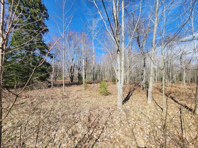 LOT1829 Sandpiper Trl, Gaylord MI, 49735 land for sale