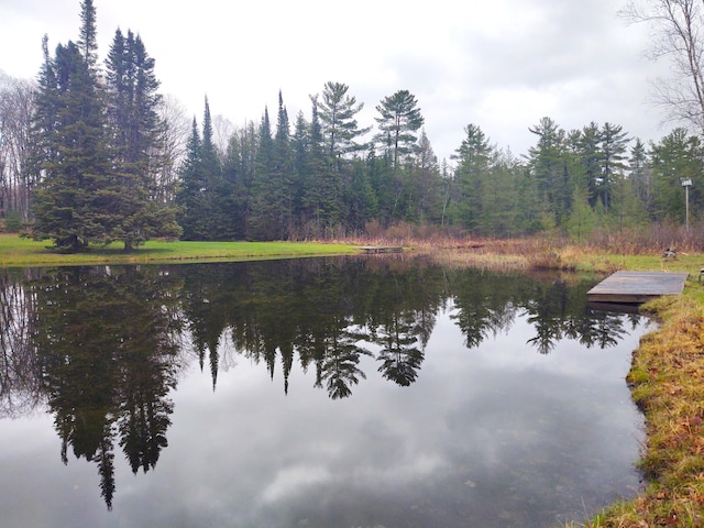 water view featuring a forest view and a boat dock