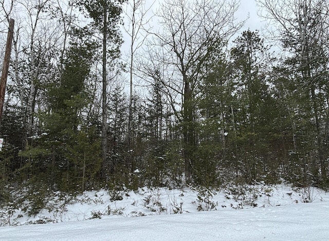 LOT115 Bonita Dr, Presque Isle MI, 49777 land for sale