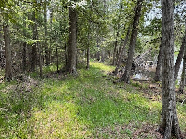 TBD Banwell Rd, Alanson, MI 49706