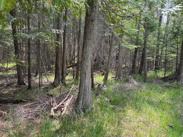 TBD Banwell Rd, Alanson, MI 49706