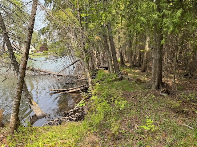 TBD Banwell Rd, Alanson, MI 49706