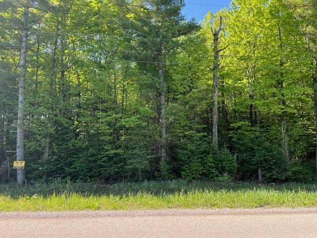 Listing photo 3 for E Heythaler Hwy, Rogers City MI 49779