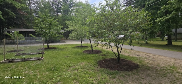 view of community featuring a lawn