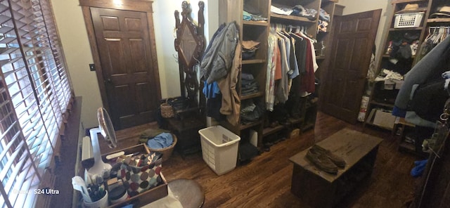 walk in closet with wood finished floors