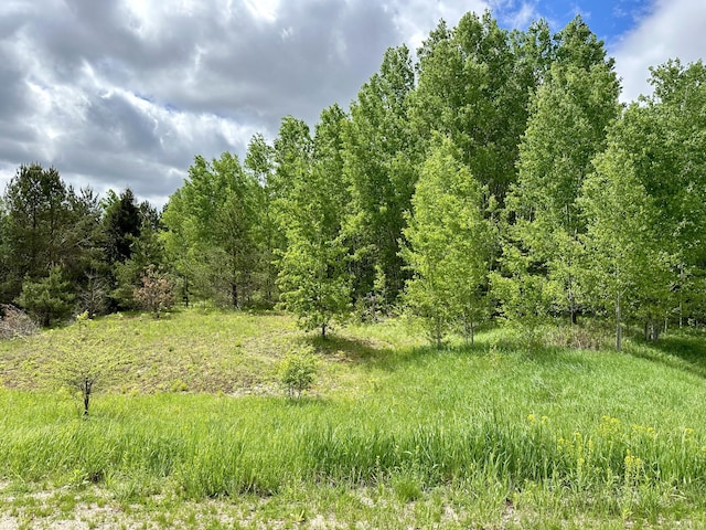 Listing photo 3 for LOT63 Golfview, Gaylord MI 49735