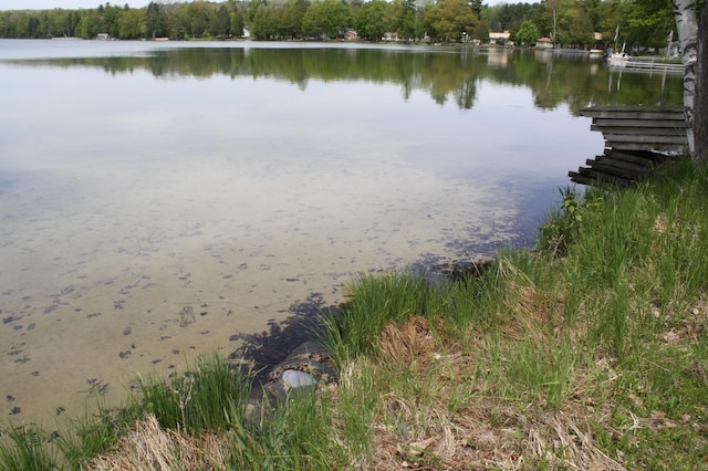 view of water feature with a dock