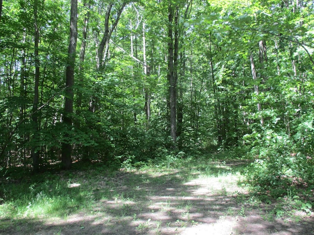 view of nature with a forest view