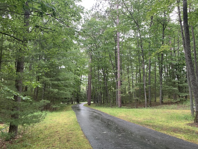 view of street with a wooded view