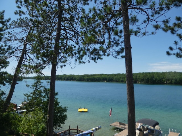 view of water feature featuring a dock