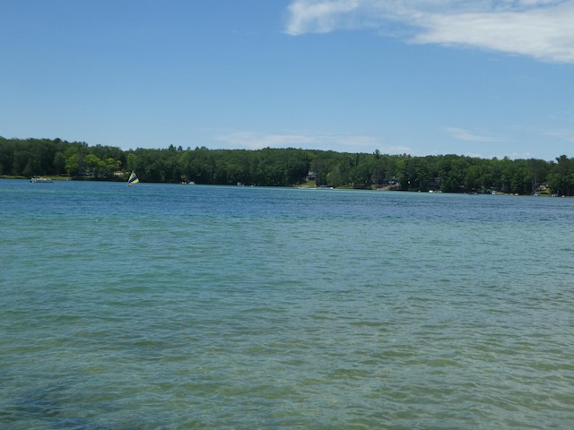 view of water feature with a forest view