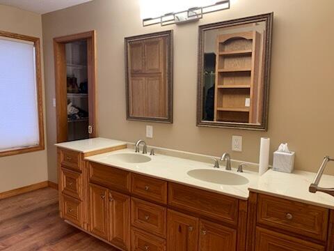 full bathroom featuring a sink, wood finished floors, and double vanity