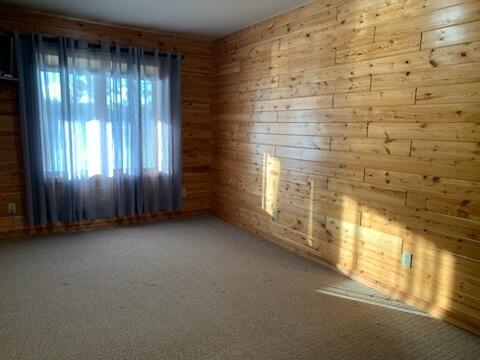 spare room with wood walls and carpet floors