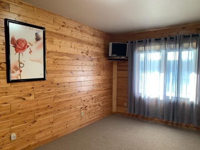 unfurnished room with carpet and wood walls