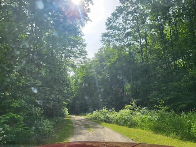 view of street featuring a wooded view