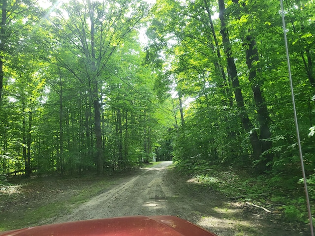 view of street with a forest view